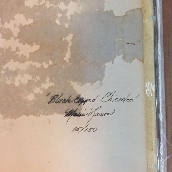 Black Capped Chicadee Photograph Framed Signed Numbered Bird Maria Lenon Art - Picture 8 of 9